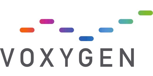 Voxygen preview